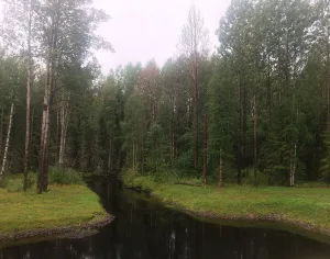 Южная Ижмукса