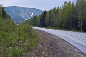 Ежовая