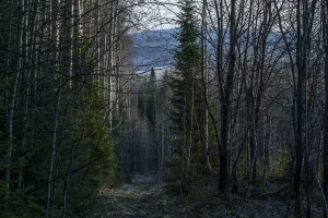 Жеребцовая гора