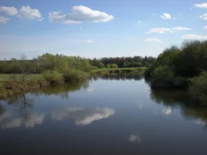 Иж
