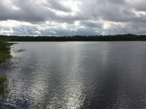 Воренжа (озеро)