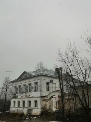 Главный дом (Кашин)