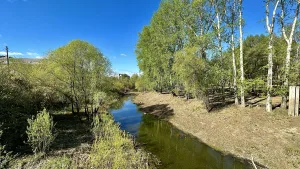 Ирбит