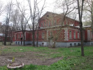 Орлово-Давыдовский переулок 2А, Детская больница Святой Ольги