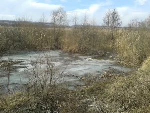 Липовый Донец