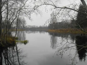 Парк с прудами (Никольское)
