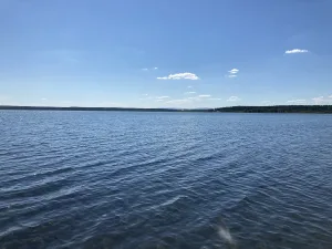 Большая Акуля