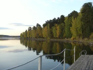 Чебаркуль