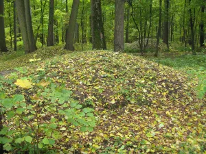 Царицынские курганы. Группа № 2