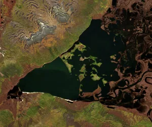 Бусани