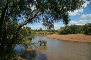 Мельгуновка