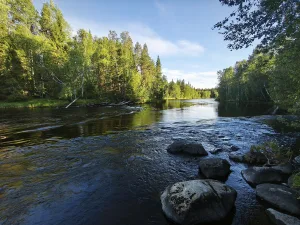 Порог Кривой (66°15'10"N, 33°28'18"E)