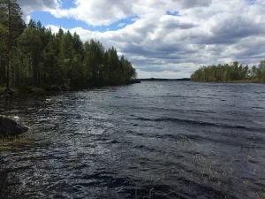 Верхнее Рюжи