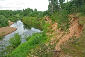 Холова