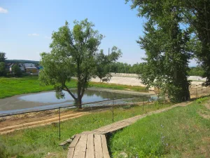 Рабочий посёлок (Сосновоборск)