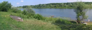 Сейм