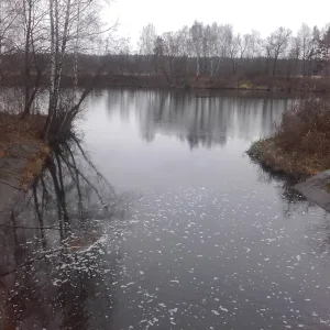 Вороной Брод