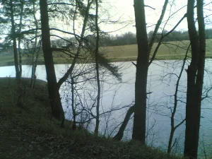 Рожай