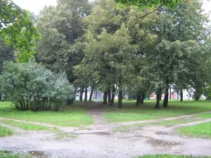 Парк