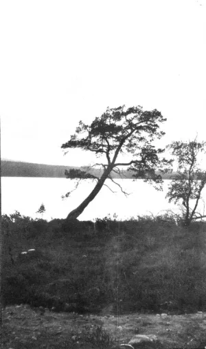 Пулозеро (озеро, Кольский полуостров)