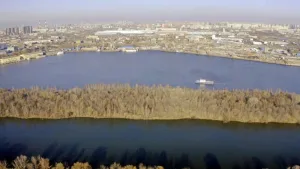 Бобровый