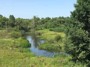 Речица