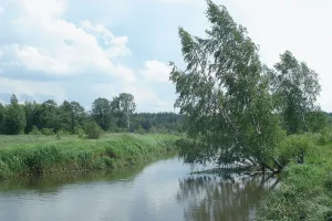 Гуслица