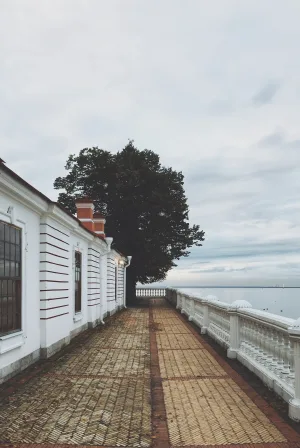 Морская терраса Монплезира