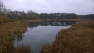 Бездна
