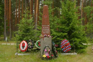 Братское кладбище советских воинов, погибших в советско-финляндскую войну, где похоронен Герой Советского Союза В.П. Розанов (1913-1940) (Красноозёрное)