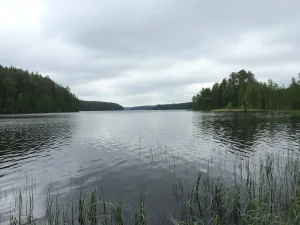 Синемукса