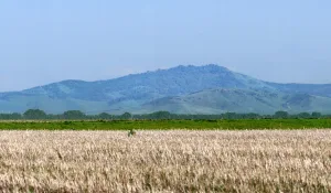 Бабырган (гора)