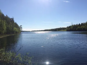 Первое Ногтево