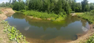 Курт