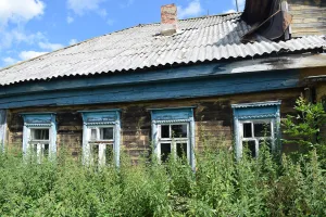 Земская школа (Большое Село)