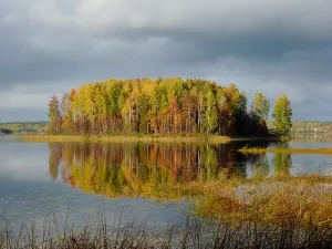 Дальнее