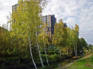 Борзовка