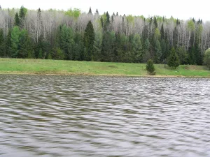 Большая Быковка (река, впадает в Камское водохранилище)