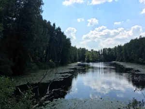 Парк (Нагорное)