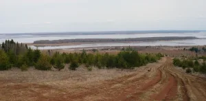 Туренец