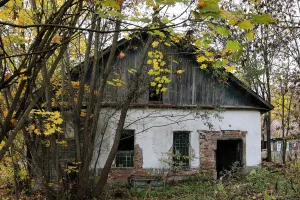 Баня (Муромцево)
