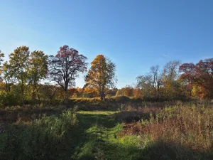 Городище (Кайболово)