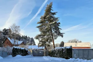 Усадьба Грузинских (Шорыгиных) (Посёлок санатория имени Ленина, бывшее с. Михайловское (Пенкинская c/а))