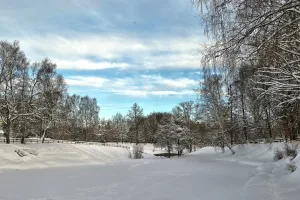 Пруд (Фурманов)
