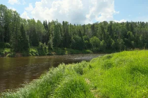 Лемовжа