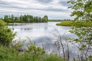Келноть