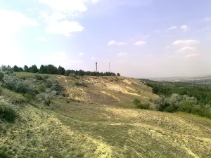 Куцай
