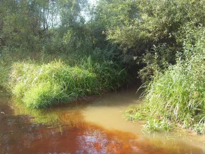 Велья