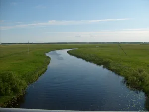 Каргат