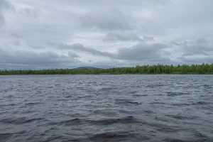 Ливозеро